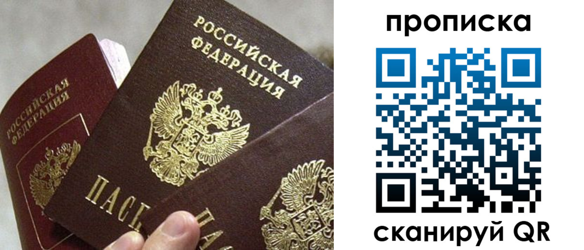 прописка 2025 в Мончегорске